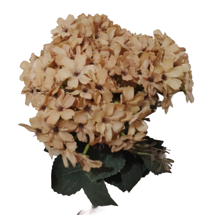 SandBlossom Cluster Stem