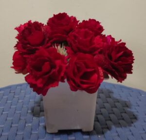 rubybloom mini vase set