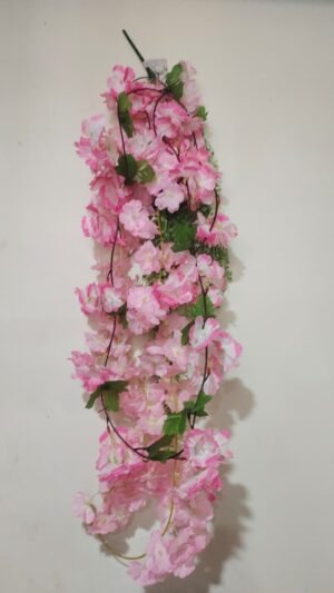 blushcascade orchid
