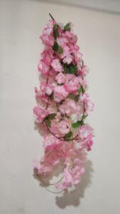 blushcascade orchid