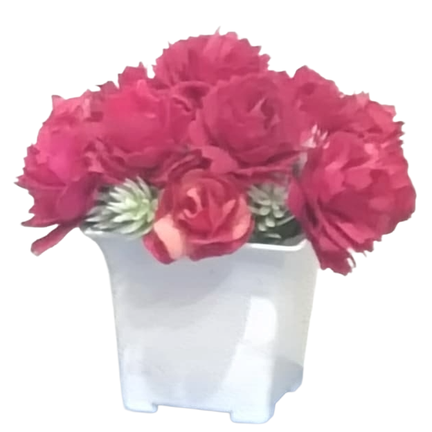 RubyBloom Mini Vase Set H-4" D-2"