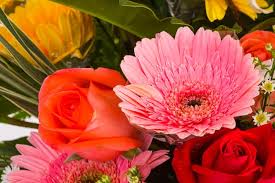 Fresh Flowers