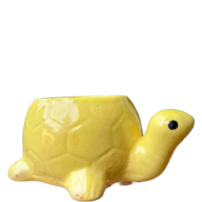 Turtle Pot 3.5" x 5.5"