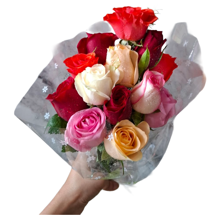 Simple 13 Rose Bouquet