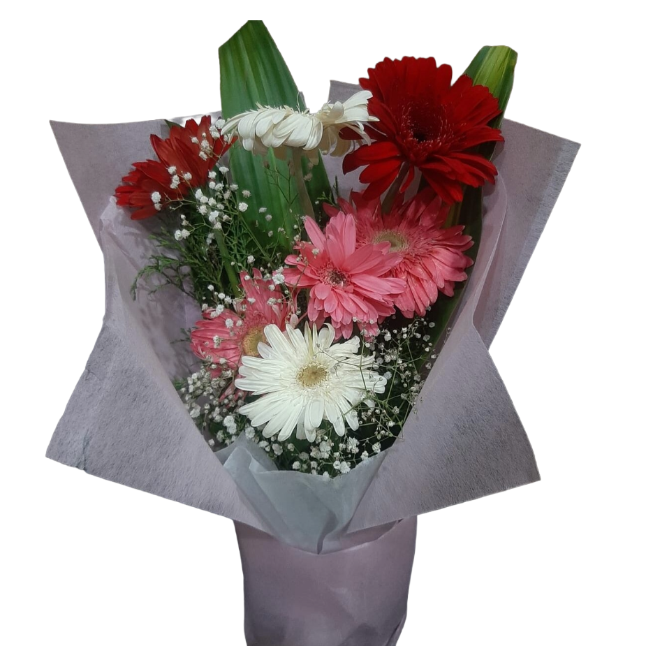 Blushing Gerbera Bouquet