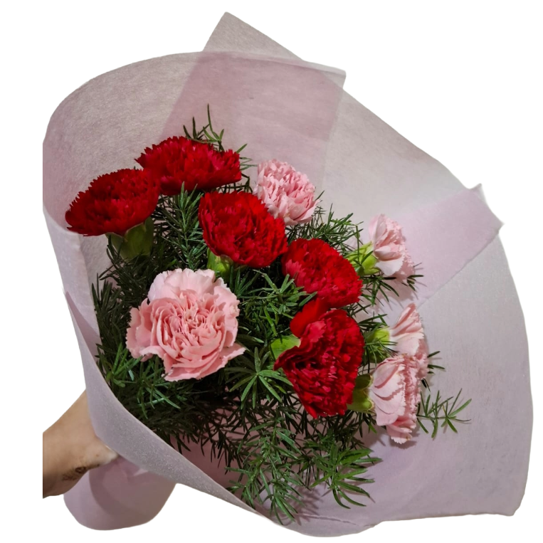 Sweet Carnation Bouquet
