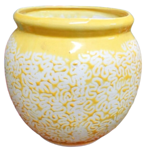 Glazed Matka Pot 8" x 7"