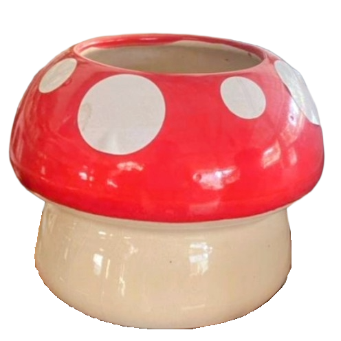 Mushroom Pot 5"x 5"