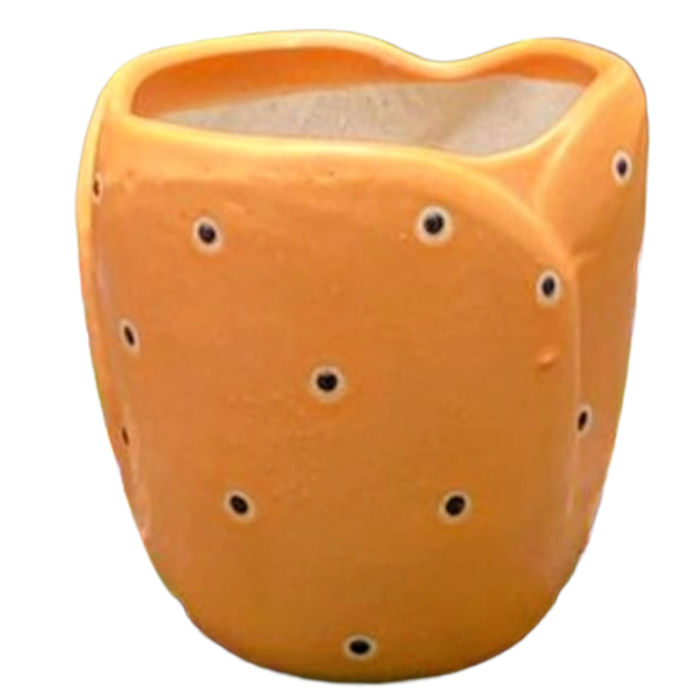 Orange Lotus Pot 4"x 4"