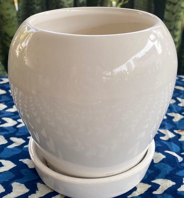 apple pot