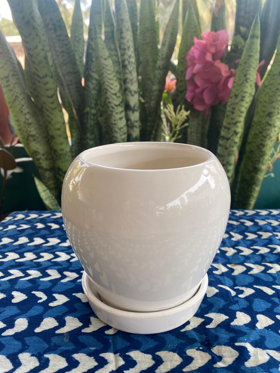 apple pot