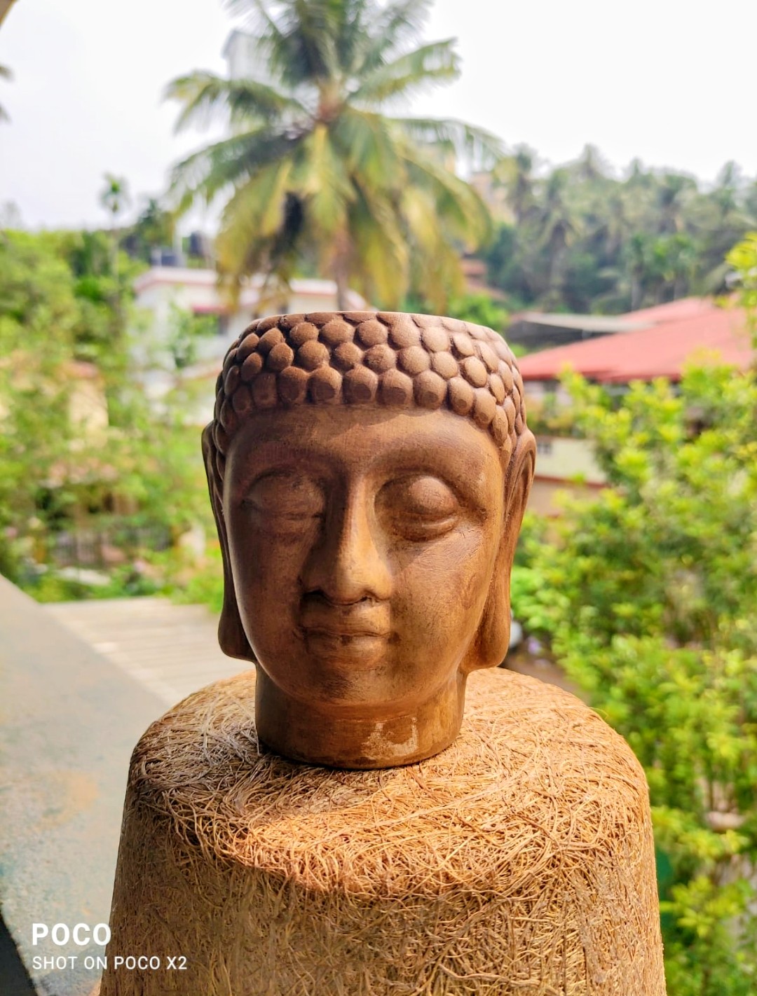 Terracotta Brown Buddha Pot 5"x 2.5"