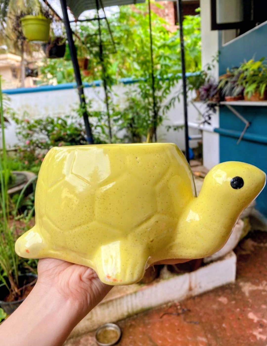 pikachu pot 6" x 8"